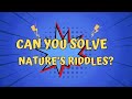 Nature's Mysteries Unraveling the Riddles  of the Wild! #naturemysteries #riddles #Naturejokes