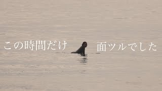 この時間が1番いい波