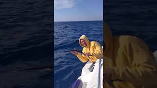 Releasing baby swordfish #3