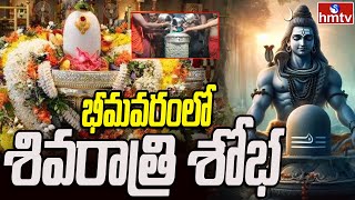 Bhimavaram Maha Shivratri : భీమవరం లో శివరాత్రి శోభ | hmtv