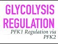 Glycolysis regulation Glycolysis regulation