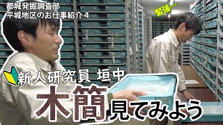 都城発掘調査部　平城地区の仕事紹介　新人研究員垣中健志の史料研究室お仕事探訪＃４　木簡見てみよう