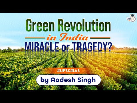What are the impact of green revolution in India?