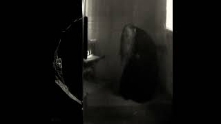 Etienne (Official Acapella) - Ethel Cain