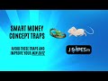 FOREX Smart Money TRAP