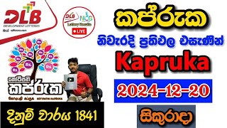 Kapruka 1841 2024.12.20 Today Lottery Result අද කප්රුක ලොතරැයි ප්‍රතිඵල dlb