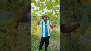 লাও কিনতে গিয়ে যা আমার সাথে ঘটলো #bangla #fannyvideo #comedy #alaminofficial #funny #bangladesh