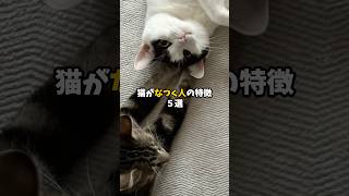 猫がなつく人の特徴5選 #猫 #ねこ #猫のいる暮らし #猫のいる生活 #保護猫 #雑学 #猫との暮らし #猫動画 #猫好きさんと繋がりたい #猫好き #ねこのきもち VOICEVOX:青山龍星