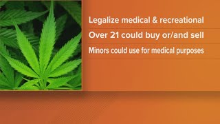 Tennessee lawmakers introduce bill to legalize medical, recreational marijuana