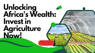 Unlocking Africa's Wealth: Invest in Agriculture Now!