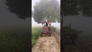 जाट की खूबसूरत सुबह उसके गांव में🚜