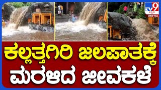 Kallathagiri Falls: ಕಲ್ಲತ್ತಗಿರಿ ಜಲಪಾತಕ್ಕೆ ಮರಳಿದ ಜೀವಕಳೆ | #TV9B