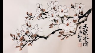 玉潔冰清-絕美白玉蘭  Beautiful Magnolia #chinesepainting #中国画 #paintingtutorial #magnolia