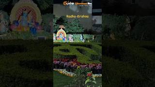 A Glimpse of Lord Krishna's Playground #radheradhe #radhakrishna #vrindavan