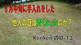 芝生を再生したい！雑草だらけで10年間メンテナンスしなかった芝生の再生物語。今回は他人の芝生は再生した？