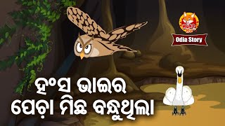 Hansa Bhaira Pecha Michha Bandhu Thila ହଂସ ଭାଇର ପେଚା ମିଛ ବନ୍ଧୁ ଥିଲା | Odia Cartoon Story |Huke Hu TV