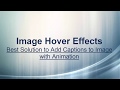How to use image hover effects - WordPress Plugin