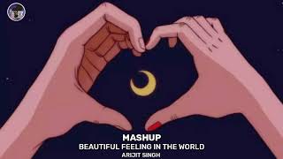 MASHUP LOVE - Arijit Singh |  Beautiful In The World | Editor_Boy | Lofi Mix Varsion