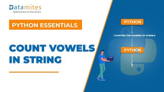 Count vowels in given string with Python | Python Tutorial