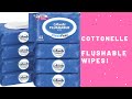 Cottonelle Flushable Wipes