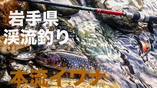 岩手県 渓流釣り 閉伊川水系 2019年4月29日 Fishing in Iwate, Japan