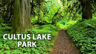 Lush Forest to Lakeshore Virtual Hike at Cultus Lake Park in British Columbia, Canada