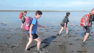 2015 08 15 Wadlopen