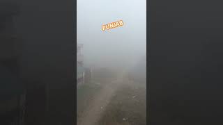 #heavy #fog #amritsar #winter #😂🤣#kohara #🤣😂#viralshort #youtubeshorts #viralshort