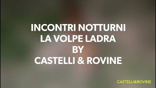 INCONTRI NOTTURNI - LA VOLPE LADRA - BY CASTELLI \u0026 ROVINE