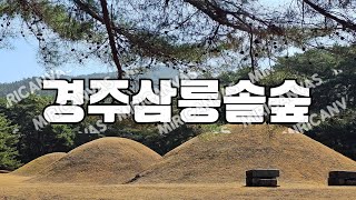 경주가볼만한곳, 경주삼릉솔숲, 경주 배동 삼릉, 경애왕릉