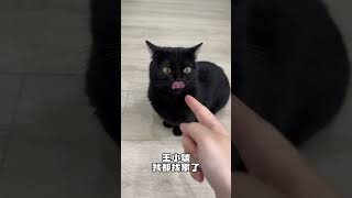 【一只黑糖啵啵🐻】家里养了3只会隐身的黑猫、是一种什么体验？