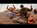 GIANT MUD CRAB - Catch and Cook - SOLO CAMPING No Food Alone Out Bush