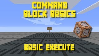 Command Block Basics: Basic Execute 1.14.3