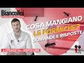 ❓​​🐜​Cosa mangiano le formiche? - Domande e risposte per eliminare l'infestazione