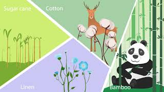 Disposable tissue paper and its impact on the environment + sustainable solutions