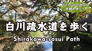 Kyoto Japan【4K】紅葉の白川疏水通を歩く（賀茂川→北大路通→下鴨本通→高野川→哲学の道）Walk the Shirakawasosui-dori Street in November