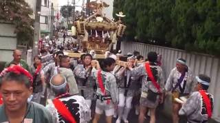 平成28年 久我山 稲荷神社  例大祭  本社大神輿立派な渡御。