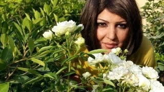 الفنانه ميلاد سري  برنامج اكو فد واحد