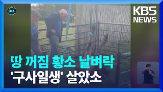 [글로벌K] 땅 꺼짐 구멍으로 빠진 황소 구출 작전 / KBS  2023.09.13.