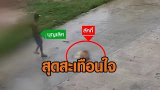 เปิดคลิปนาทีสังหาร ‘เจ้าลัคกี้’ หมาไซบีเรียน มือตีขอเลื่อนพบ ตร. อ้างฝนตกขอนอนอยู่บ้าน