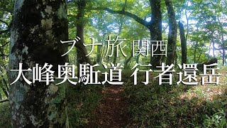 大峰 行者還岳　ブナと花の静かな奥駈道を歩く