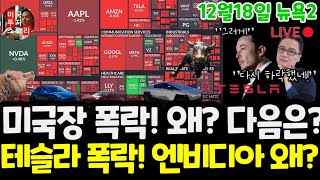 미국주식시황/오늘 왜 폭락했나? 테슬라도 폭락! 엔비디아도 흔들! 왜? 구글 애플 아마존 메타 마이크로소프트 팔란티어 아이온큐 SMCI 델 브로드컴 LLY $tsla #tesla