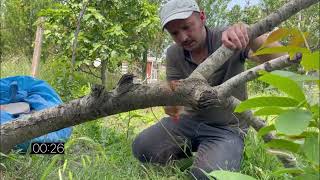 Normal testere ile kamp testeresi kesim süreleri / Cutting times between regular saw and camp saw