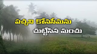 పచ్చని కోనసీమను చుట్టేసిన మంచు... || A blanket of snow enveloped the green Konaseema