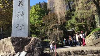 PUG YAMATO パグ ヤマト 2016.11.02 大国神社 妙義山神社 妙義山