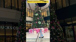 【北海道旭川市】イオンモール旭川駅前の入口に超巨大なクリスマスツリーが綺麗🎄#ninjya #shorts #旭川市 #景色 #hokkaido #北海道 #雪 #クリスマスツリー #イオンモール