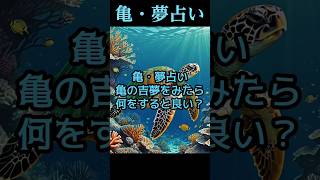 亀の吉夢を見たら何をすると良い？【夢占い】夢のシンボルを匿名で解説します。 #shorts