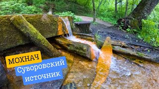 Поселок целебных источников Мохнач • Суворовский источник