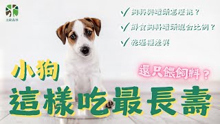 狗都不吃！還在只餵飼料嗎？混著吃才健康且美味！｜北歐森林線上課程