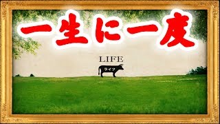 一生に一度しか遊べないゲーム【LIFE】